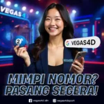 VEGAS4D